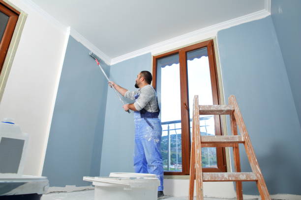 Best Drywall Sanding and Smoothing  in Dixon, CA